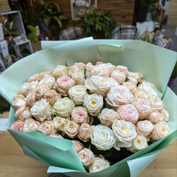 Promo! 51 pink roses 40 cm - Elven