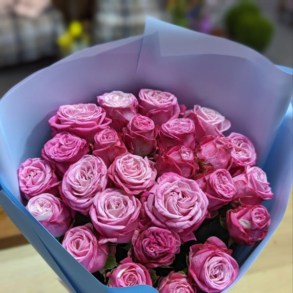 Promo! 25 hot pink roses 40 cm - Apeldoorn