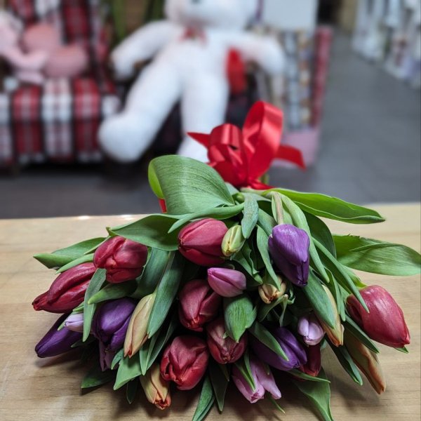 Tulips by the piece - Upper Marlboro