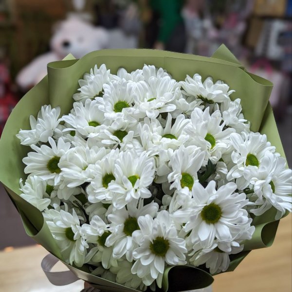 Bouquet of chamomiles - Melton