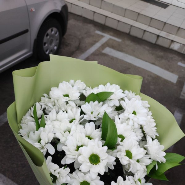 Bouquet of chamomiles - Novopokrovka