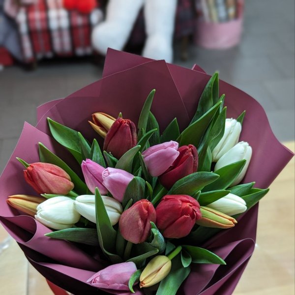 19 multi-colored tulips - Rudki