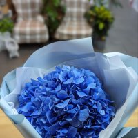 Букет цветов Цвет волны - Киев - Лесной