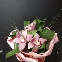 Three orchids - Ekibastuz