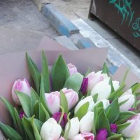 35 tulips mix - Kirilovka