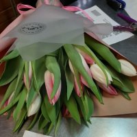 Spring calling 11 tulips - Lavagna