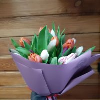 25 multi colored tulips - Nagasaki