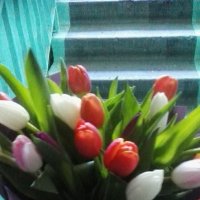 25 різнокольорових тюльпанів - Коломбьєр
