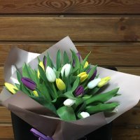  35 tulips - Trier-Ehrang