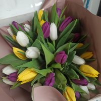 35 тюльпанов - Корваллис