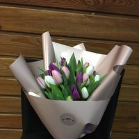 35 tulips mix - Kirilovka