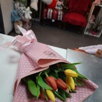 15 multi-colored tulips - Henderson
