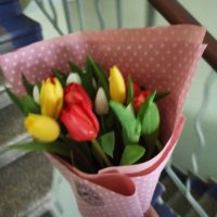 15 multi-colored tulips - Hof