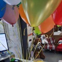 11 різнокольорових кульок - Нижні Холохори
