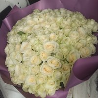 Bouquet 101 white roses - Novye Markautsy