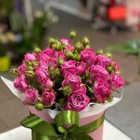Розовые кустовые розы в коробке - Нови Пазар