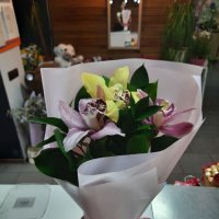 3 орхидеї мікс - Кантемір