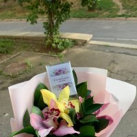 3 орхидеї мікс - Львівська область