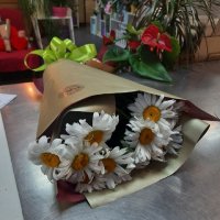 Букет квітів Ромашки - Денпасар