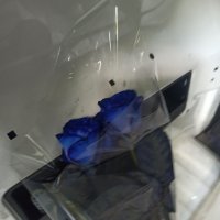 Blue roses by the piece - Antoniny