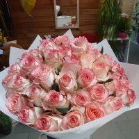 51 троянда Джумілія - Мерцен