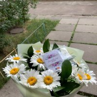 Букет квітів Ромашки - Денпасар