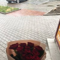  Червоні троянди поштучно - Теленешти