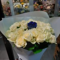 Blue roses by the piece - Novyj Svet
