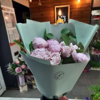7 розовых пионов - Новомосковск (Украина)
