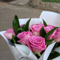 Of 9 pink roses - Gomel