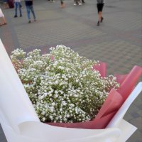 Bouquet of baby\'s breath - Rutherford