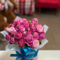 Pink spray roses in a box - Papenburg
