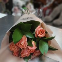 Букет 7 рожевих троянд - Павія