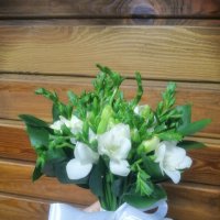 Bouquet of freesies - Aviatorskoye
