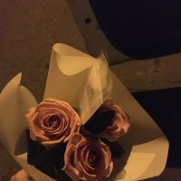 Акція весни! 3 троянди  - Бланес