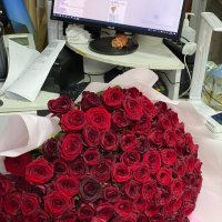 Promo! 101 red roses - Ivatsevichy