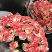 Букет 101 рожева троянда - Антоніни