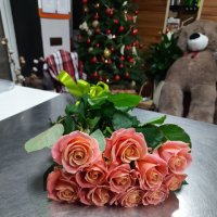 Orange roses - Bashtanka