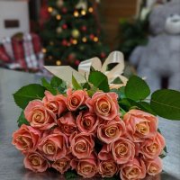 Coral roses by the piece - Ostritsa