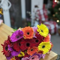Gerberas mix by the piece - Gibbon