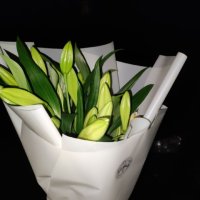 Лилия белая поштучно - Пологи
