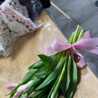 Tulips by the piece - Kallaste