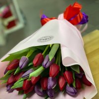 Весенний подарок - 29 тюльпанов - Швабиш Гмунд