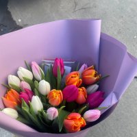 19 multi-colored tulips - New Orleans
