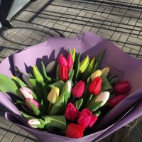 25 multi colored tulips - Bunde