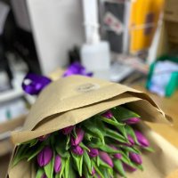 Тюльпани поштучно - Нова Ушица