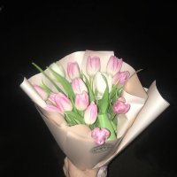 15 pink and white tulips  - Guia de Isora