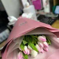 15 pink and white tulips  - Swansea
