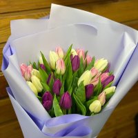 35 tulips mix - Oropesa del mar