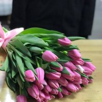 Фіолетові тюльпани поштучно - Ратомка